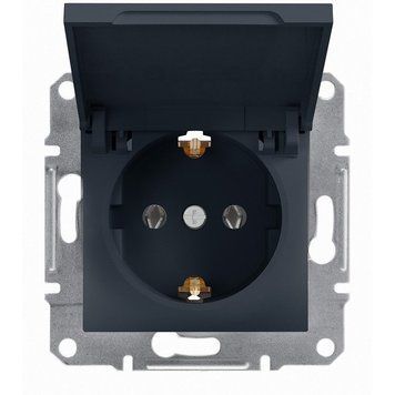 Розетка з з/к та кришкою Asfora антрацит EPH3100171 Schneider Electric 231040 фото